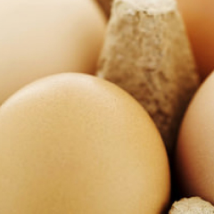 Eggs