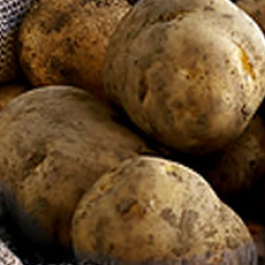 Potatoes